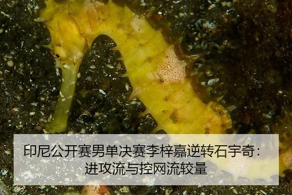 印尼公开赛男单决赛李梓嘉逆转石宇奇：进攻流与控网流较量
